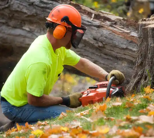 tree services Iron Mountain Lake